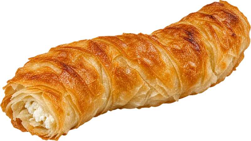 Burek motani